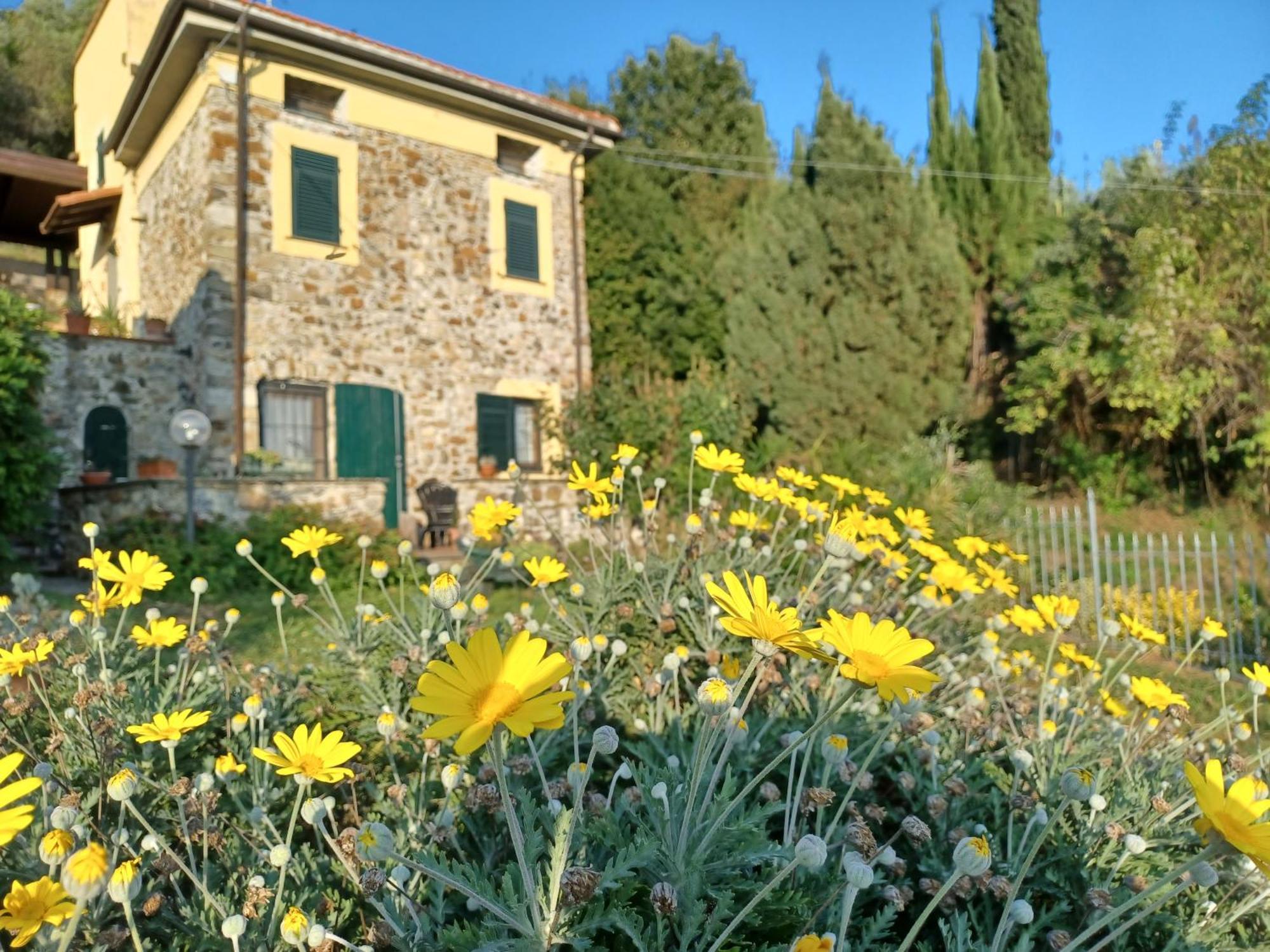 Il Fontolo Villa Ponzano Superiore Luaran gambar